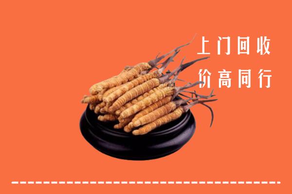 收购行情：安居区冬虫夏草回收多少钱每克