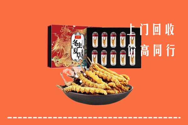 收购行情：安居区回收虫草